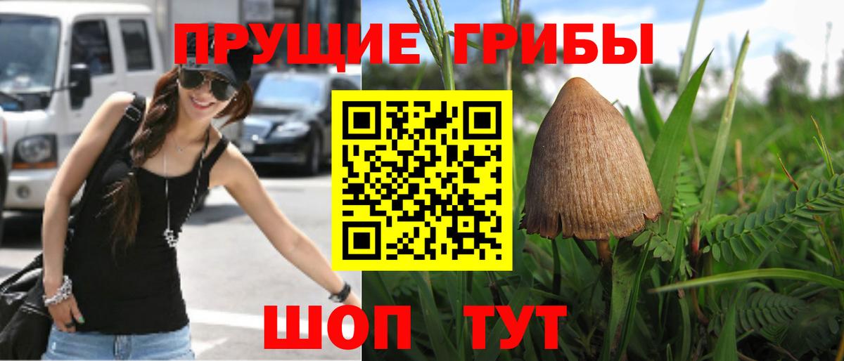 Псилоцибиновые грибы Magic Shrooms Воткинск