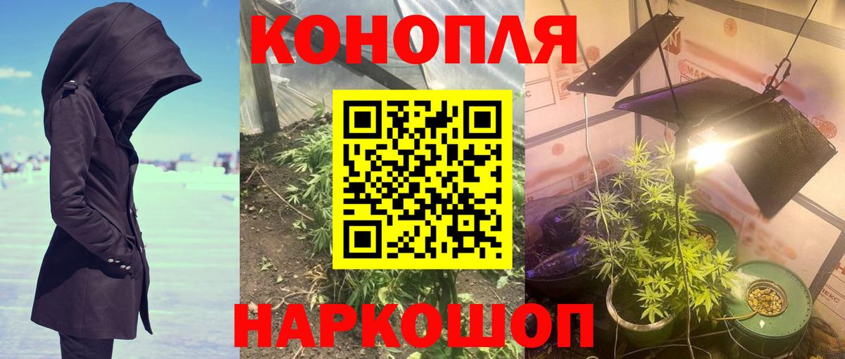 Бошки Шишки ГИДРОПОН  Конопля планчик  Вход с VPN  Канабис марихуана  Бошки Шишки THC 21%  Воткинск 